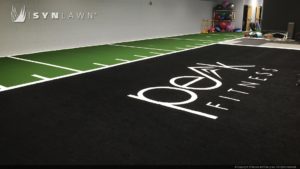 SYNLawn artificial grass agility indoor weight room and gym surface